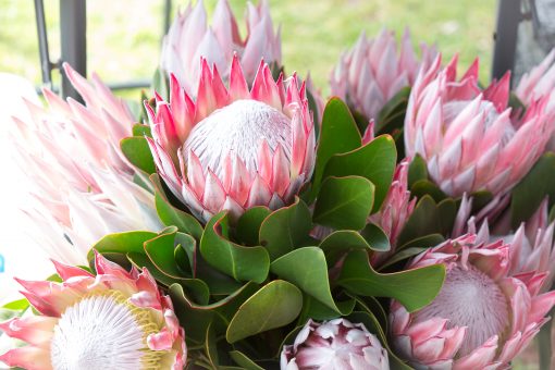 Products - Margaret River Farmers' Market